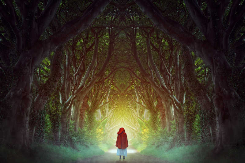 森林里小女孩