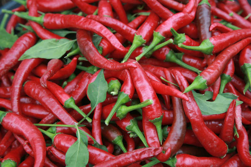 农贸市场上的红辣椒