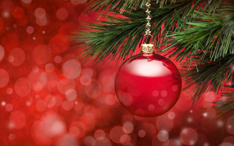 红色背景上的圣诞树树枝和装饰品
