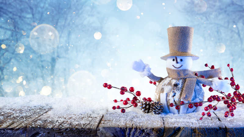 绅士装扮的雪人