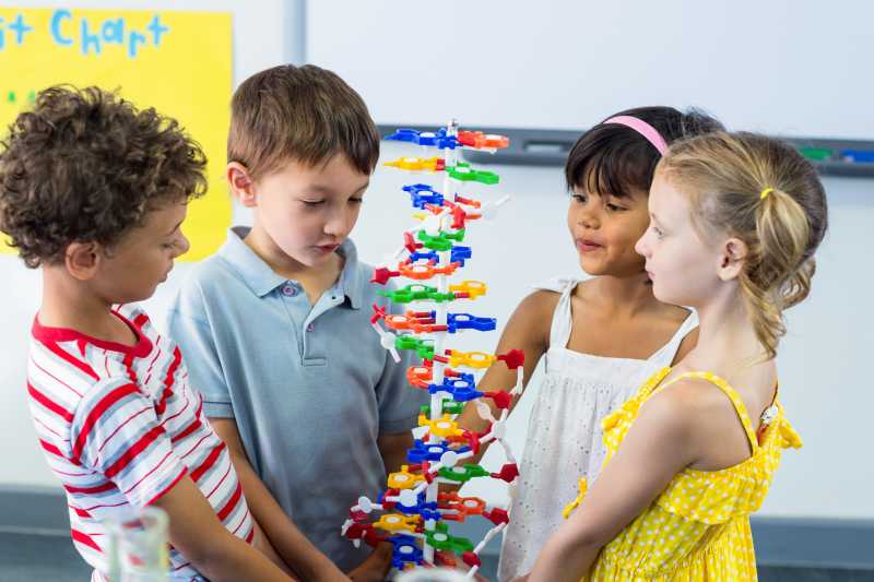 四个看着DNA模型的孩子