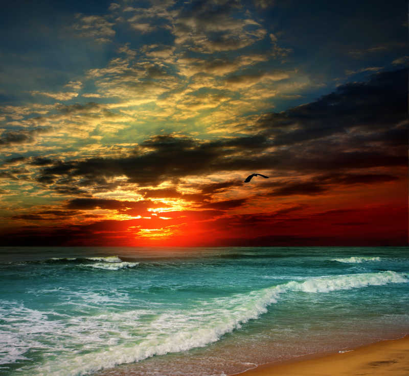 巴厘岛海滩上的日出
