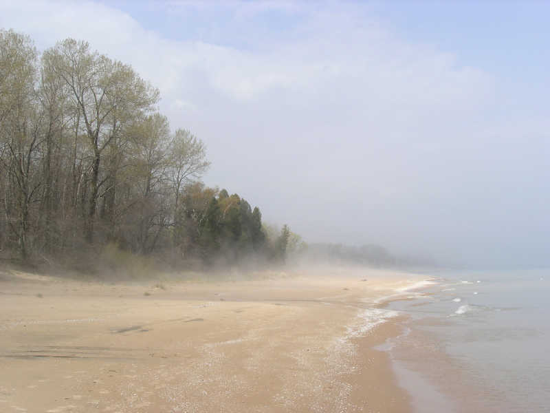 海滩上的雾气