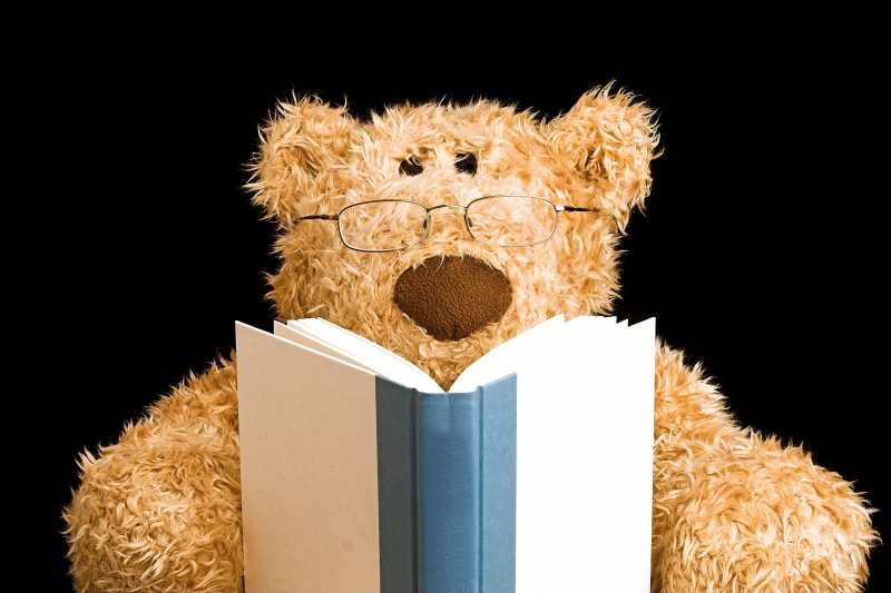 独自看书的玩具熊