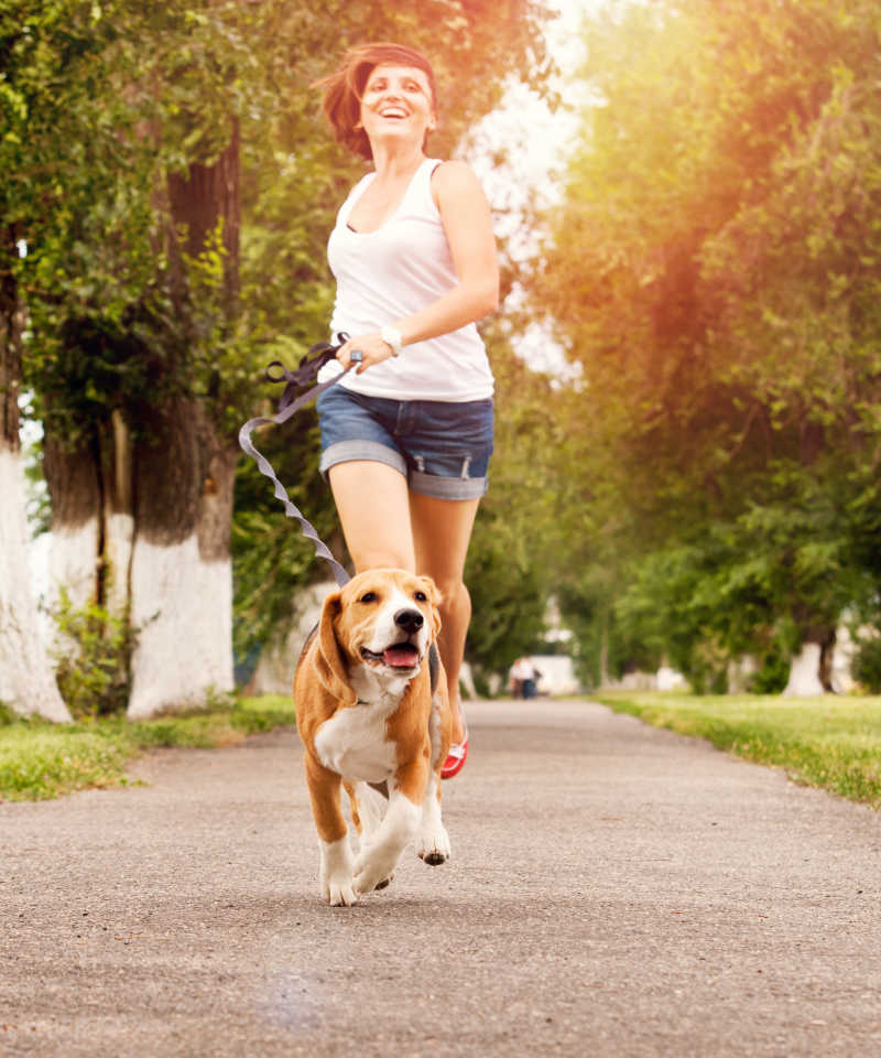 慢跑的年轻女子与她的比格犬