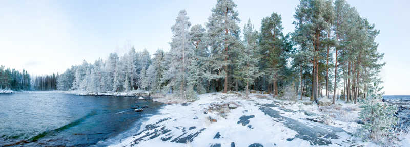 湖附近的冬季森林