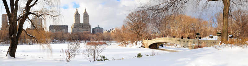 纽约市曼哈顿中央公园冬季全景图