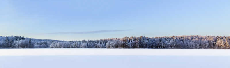 芬兰冬季湖全景