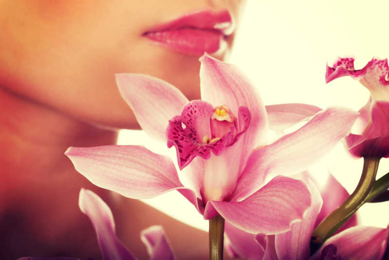 美女唇边的粉红色花朵