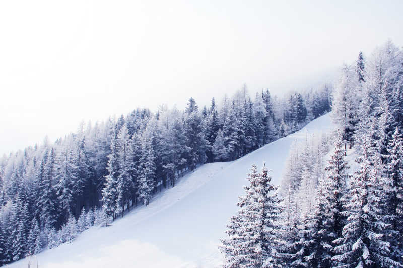 冬季的雪景