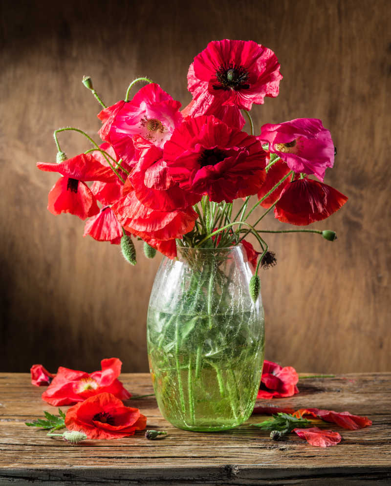 花瓶里的罂粟花束