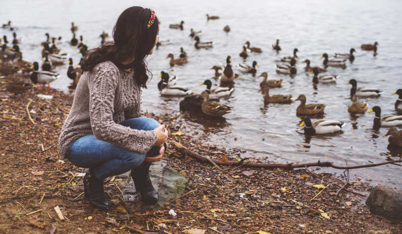 在河边看鸭子的美女