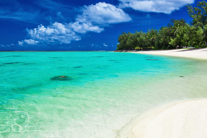 热带库克群岛的海岸