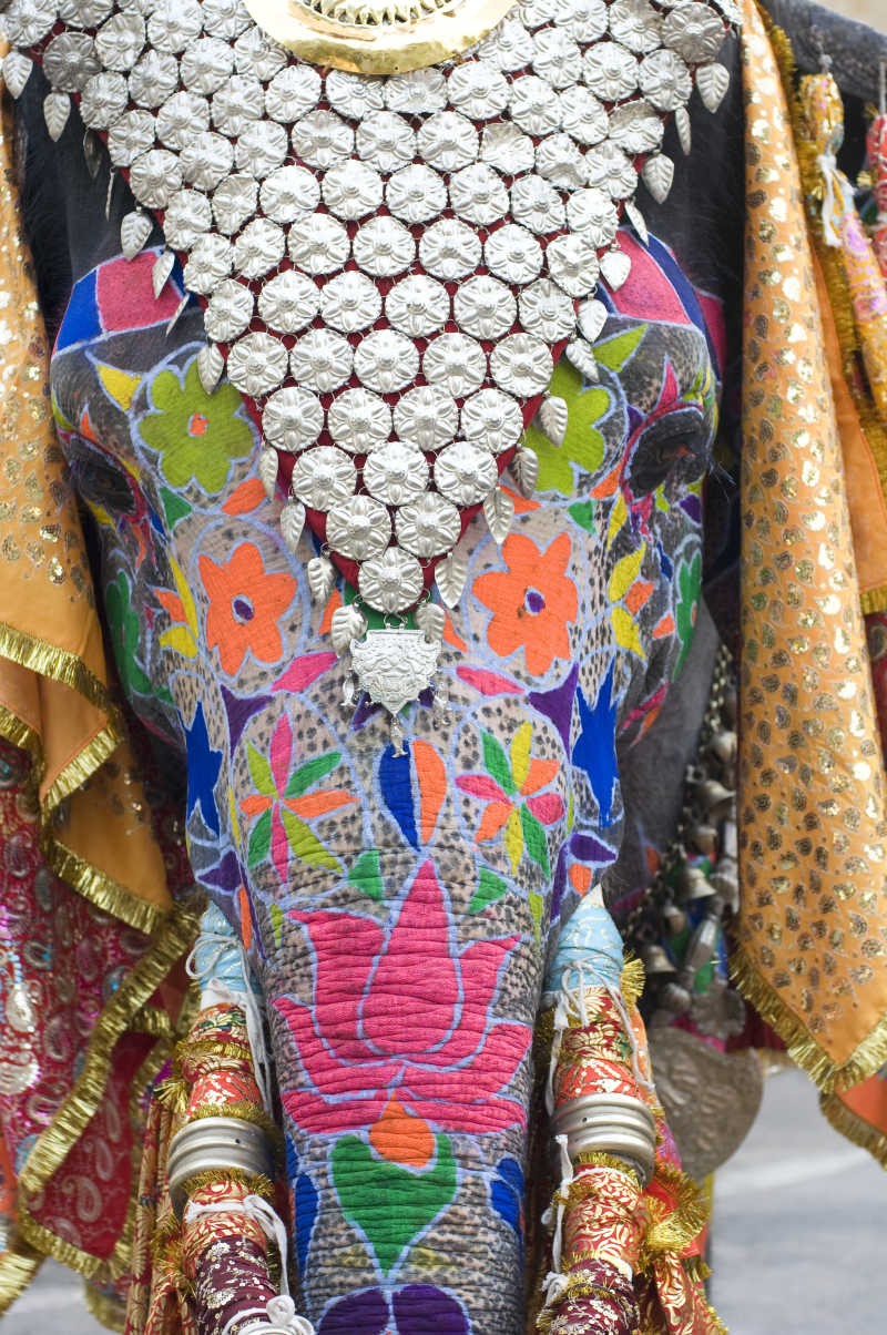 印度节日上装饰华丽的大象