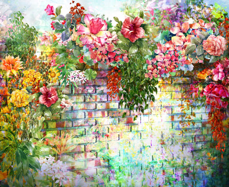 墙边五彩缤纷的花朵