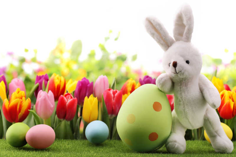 复活节彩蛋和一个小兔子