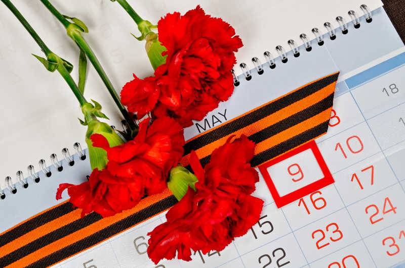 红色康乃馨放在日历上面