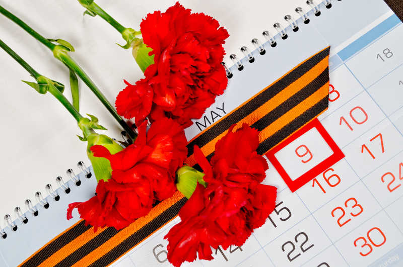 三朵红色康乃馨和日历