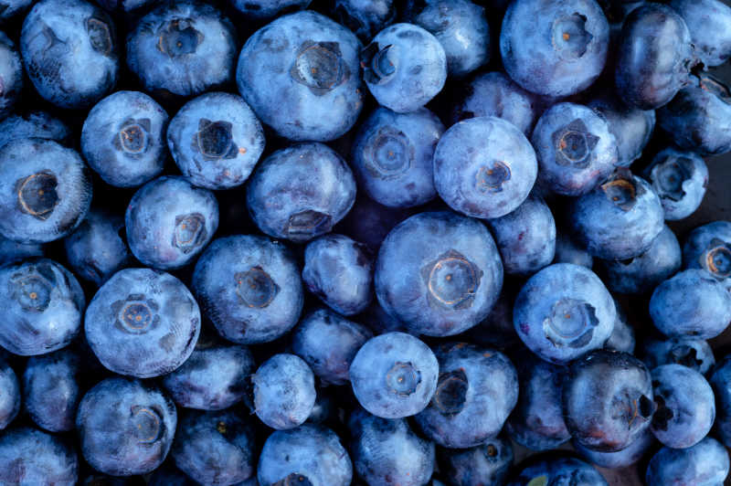 大小不同的很多蓝莓