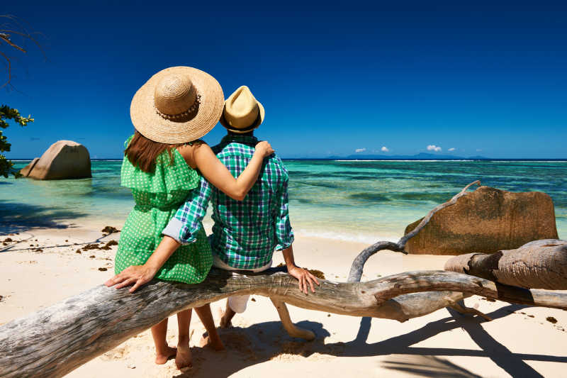 戴草帽的情侣坐在沙滩枯树上