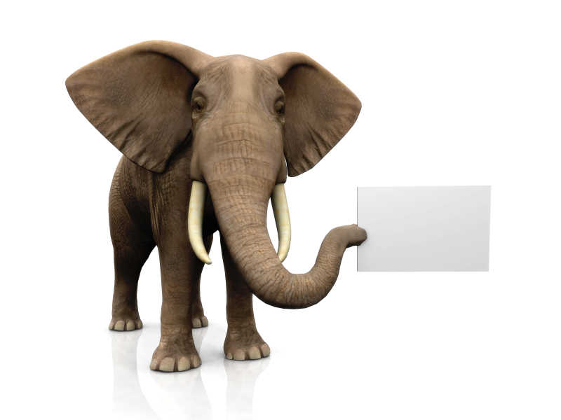 大象举着的空白广告牌