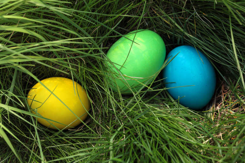 草地中的彩绘复活节彩蛋
