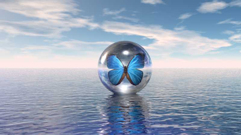 海面大水珠里的蓝色蝴蝶