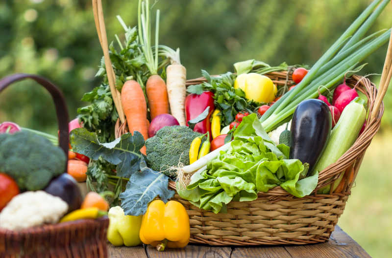 菜篮里装满了新鲜的有机蔬菜
