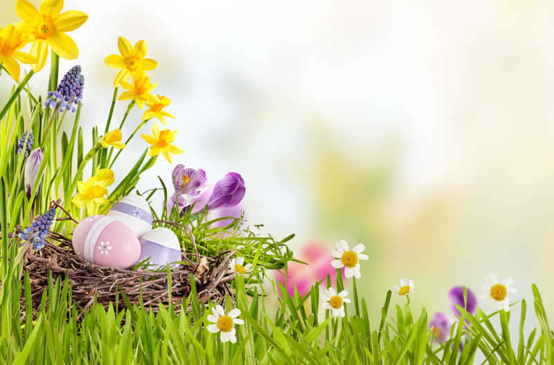美丽的复活节与彩蛋彩蛋