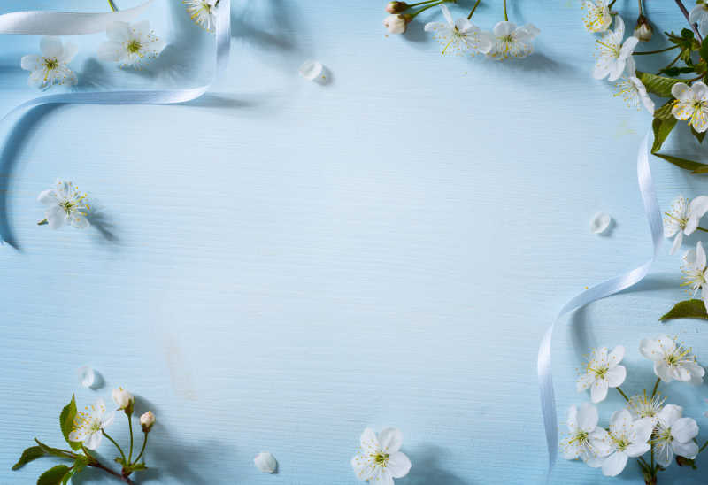 蓝色背景上的白花