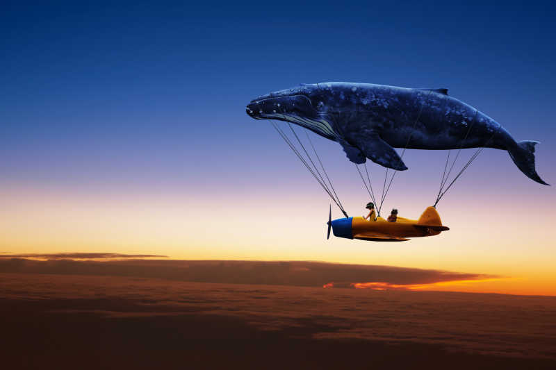 鲸鱼带着飞机旅行想象画面