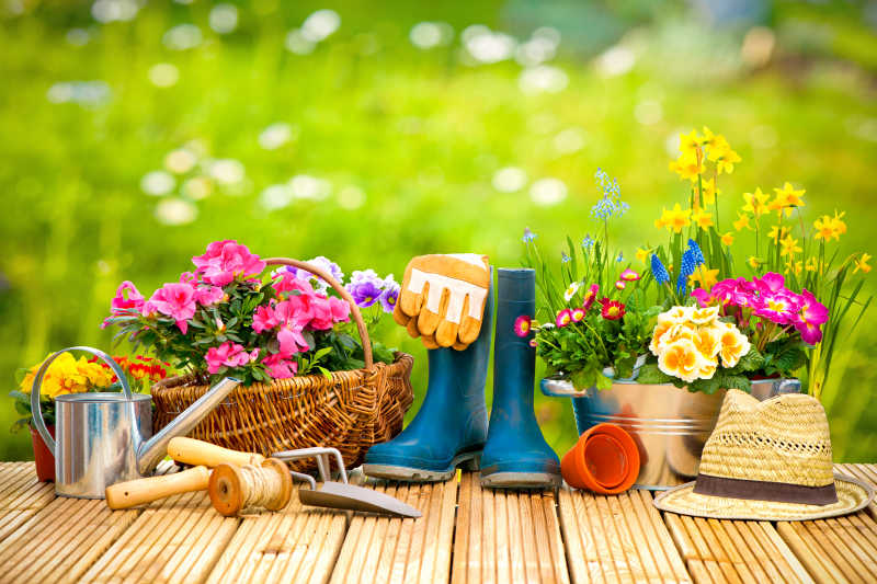 园艺工具放在花园里阳台上