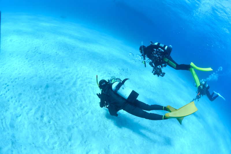 戴着水肺在海底潜水的三名潜水者
