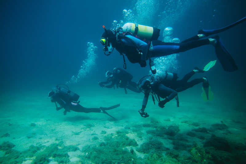 探索海底的潜水者小组