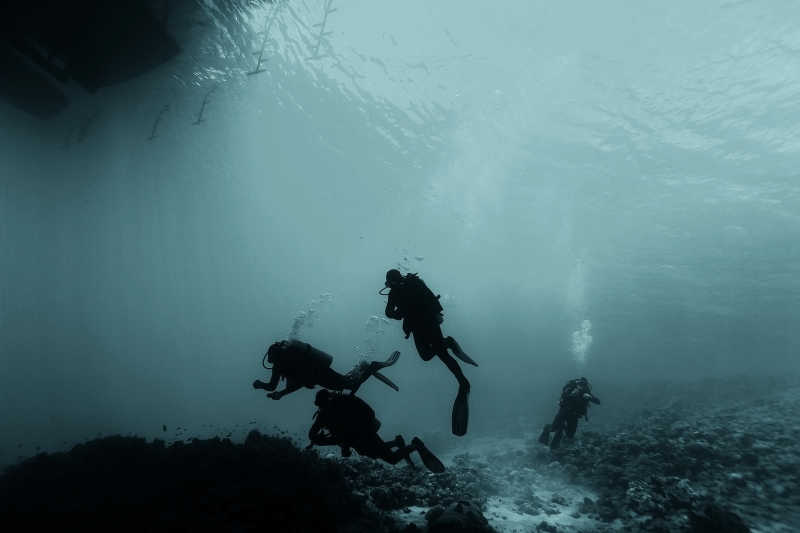 潜水者探索海底