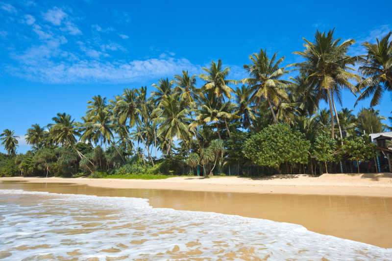 斯里兰卡海滩风景