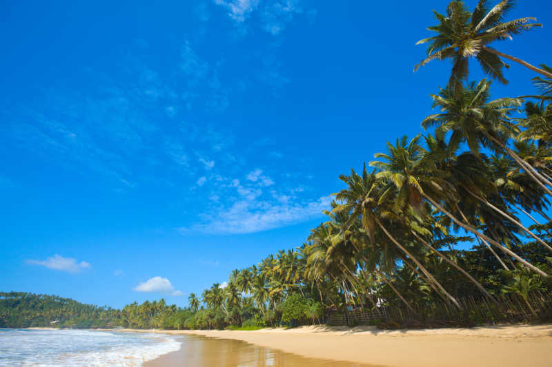 斯里兰卡海滩天空风景