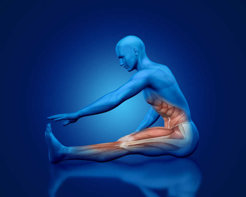 蓝色背景男人动作姿势肌肉模拟