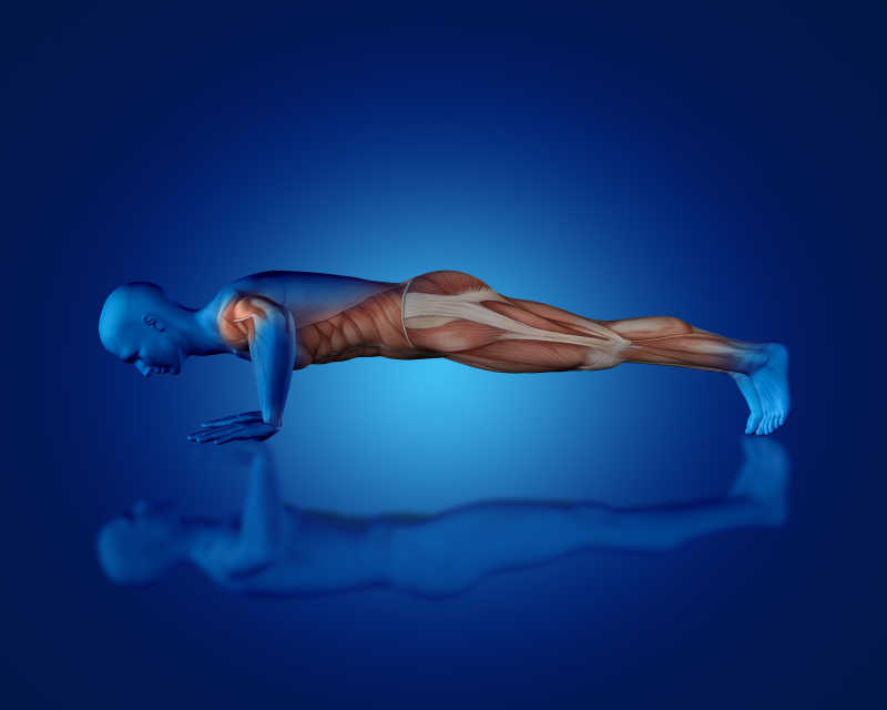 蓝色男子3D肌肉模拟