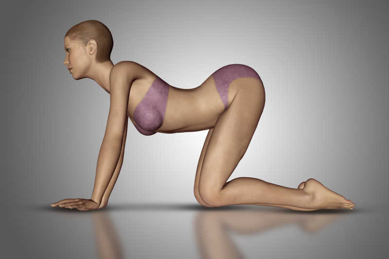 女人瑜伽姿势三维立体