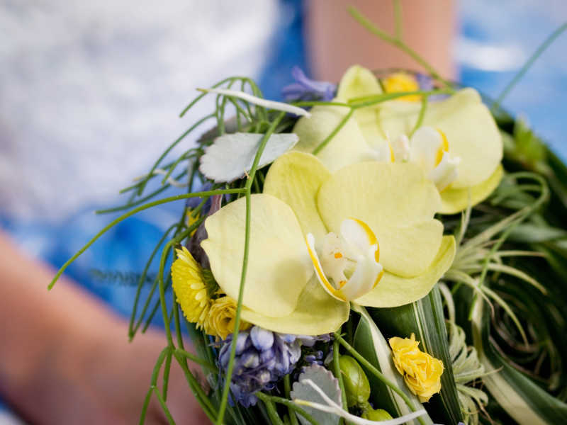 穿着白色和蓝色的婚纱的新娘手中的黄色兰花和绿叶的婚礼花束