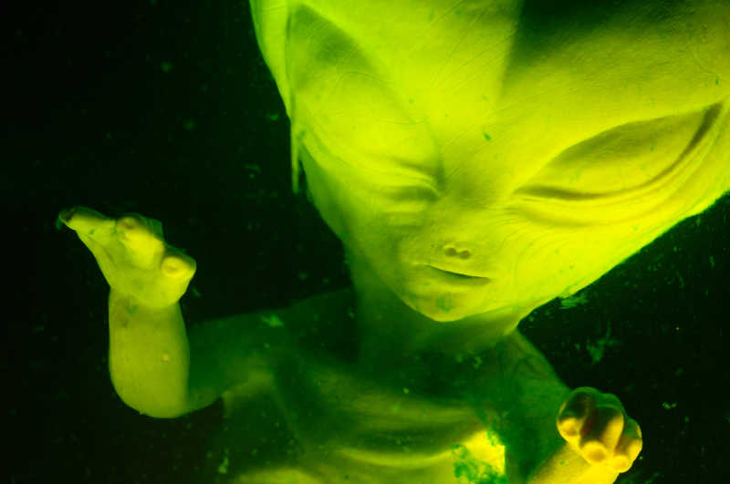 绿色的外星婴儿