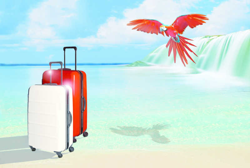 沙滩上的行李箱和红鹦鹉