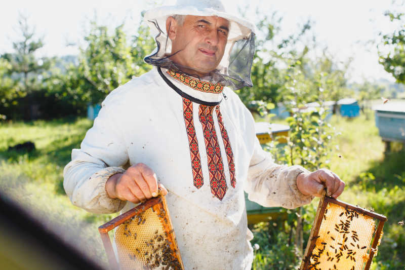 养蜂人拿着两帧工作蜜蜂的蜂窝