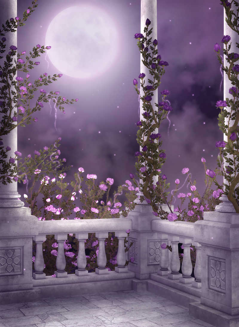 月光下美丽的庭院