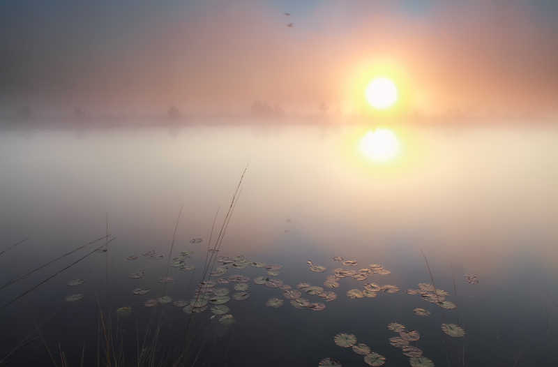日出下的美丽湖面