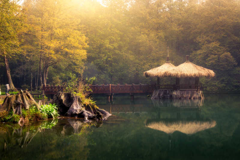 森林湖边的自然美景