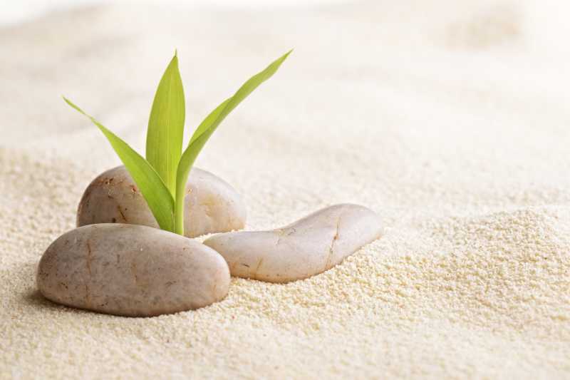 沙滩上的石头和竹子