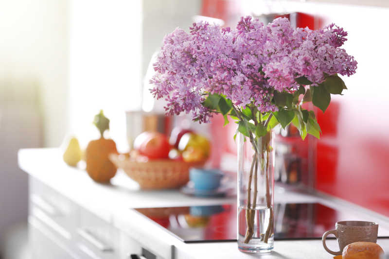 厨房里的紫色花束
