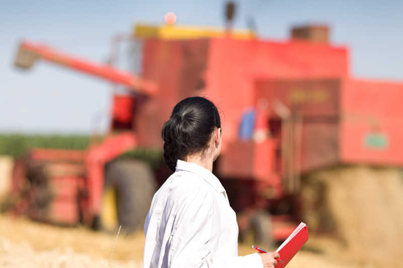 麦田女人农艺师